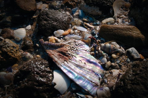Point Cook Marine Sanctuary - Your Accommodation 1