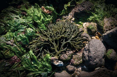 Point Cook Marine Sanctuary - Your Accommodation 2
