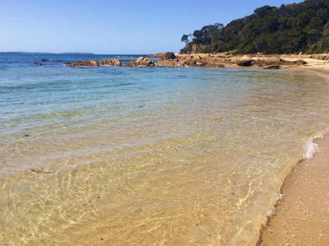 Shelly Beach Picnic Area - Moruya Heads - Your Accommodation 0