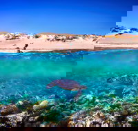 Snorkel the Ningaloo Reef - Your Accommodation