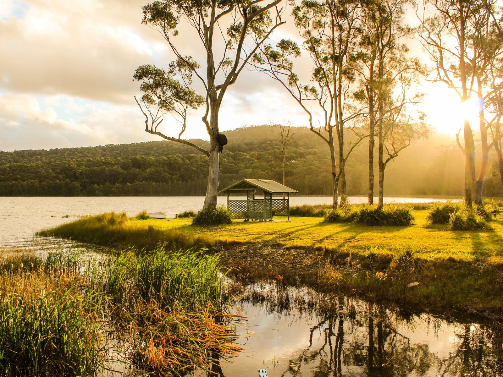 Tarbuck Bay NSW Your Accommodation