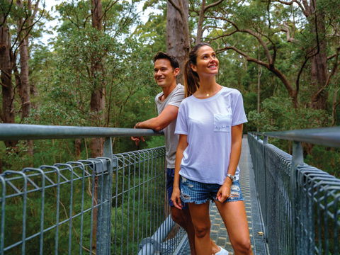 Valley Of The Giants Tree Top Walk - Your Accommodation 0