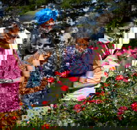 Victoria State Rose Garden at Werribee Park - Your Accommodation