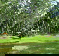 Woolgoolga Creek Picnic Area - Your Accommodation
