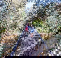 Yea Wetlands Walk - Your Accommodation