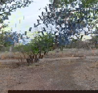 Alexander Forest Memorial - Your Accommodation