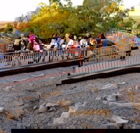 Australian Age of Dinosaurs - Your Accommodation