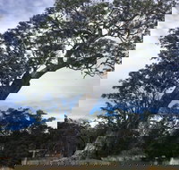 Bilston's Tree - Your Accommodation