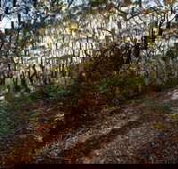 Booderee National Park Munyunga Waraga Dhugan Walking Trail