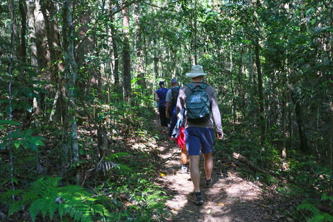 Booloumba Falls Walk, Conondale National Park - Your Accommodation 1