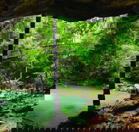 Buderim - Your Accommodation