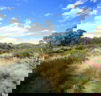 Bullocks walking track - Your Accommodation