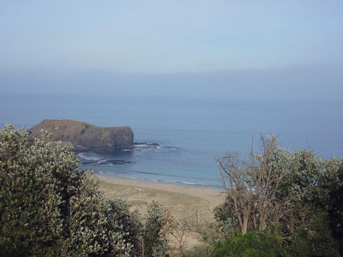 Bushrangers Bay - Your Accommodation 0