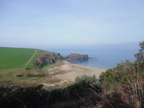 Bushrangers Bay - Your Accommodation 1