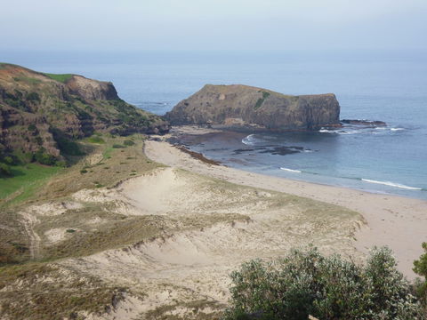 Bushrangers Bay - Your Accommodation 2