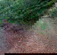 Cascade mountain bike trail - Your Accommodation