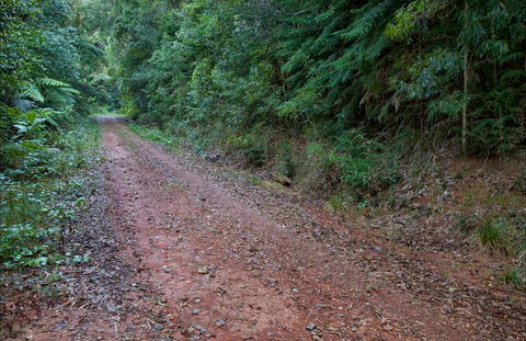 Cascade Mountain Bike Trail - Your Accommodation 0