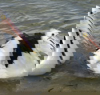 Chinaman Wells - Your Accommodation