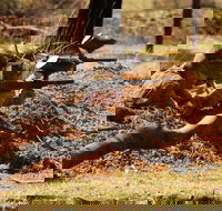 Freycinet Paintball and Campground - Your Accommodation