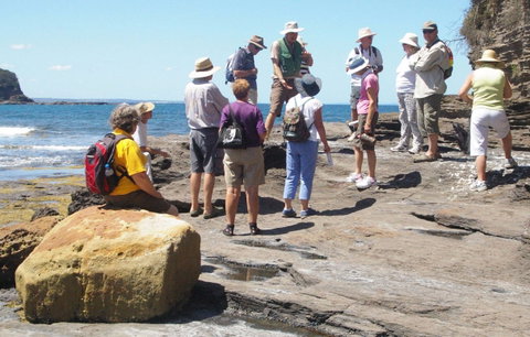 Gondwana Coast Fossil Walk - Your Accommodation 0