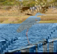 Groper Creek - Your Accommodation