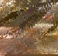 Kholo Gardens Trails