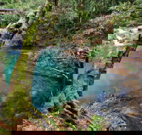 Mobong walking track - Your Accommodation