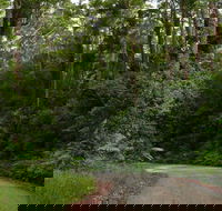 Moonpar Forest drive - Cascade National Park - Your Accommodation