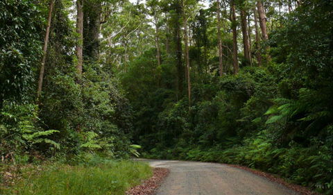 Moonpar Forest Drive - Cascade National Park - Your Accommodation 0
