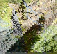 Morans Falls track Lamington National Park - Your Accommodation