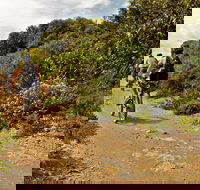 Mountain Biking Trails - Your Accommodation