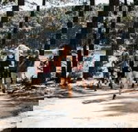 Myponga Reservoir Trail - Your Accommodation