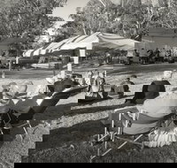 Pioneer Park - Your Accommodation