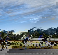 Richmond Lowlands - Your Accommodation