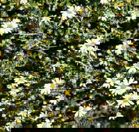 Round Tank Picnic Area - Your Accommodation