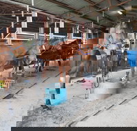 The Equine Club - Your Accommodation