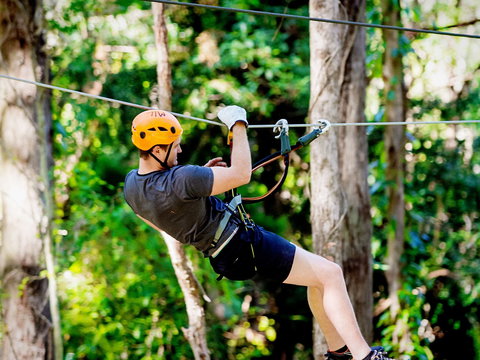 TreeTop Challenge Currumbin Wildlife Sanctuary - Your Accommodation 0