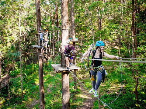 TreeTop Challenge Currumbin Wildlife Sanctuary - Your Accommodation 1