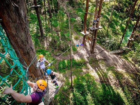 TreeTop Challenge Currumbin Wildlife Sanctuary - Your Accommodation 2