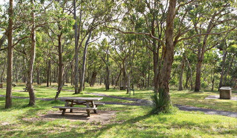 Wollomombi Gorge And Falls Picnic Area - Your Accommodation 0