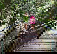 Wonga Walk - Your Accommodation
