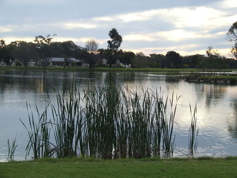 Luke Park And Jerilderie Lake - Your Accommodation 2
