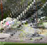 Maroochy Regional Bushland Botanic Garden - Your Accommodation