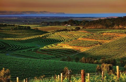Mclaren Vale - Your Accommodation 1