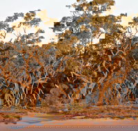 Yawura Yarun - Your Accommodation