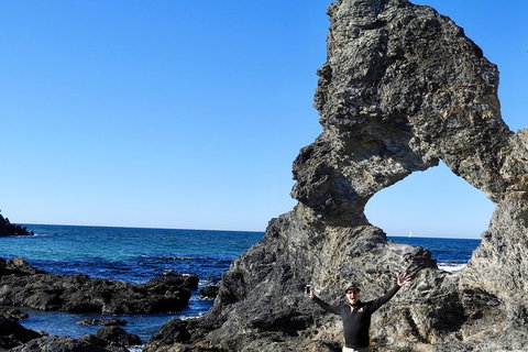 Narooma And Tilba Valley Private Tour - Your Accommodation 4