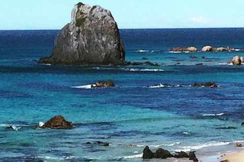 Narooma And Tilba Valley Private Tour - Your Accommodation 9