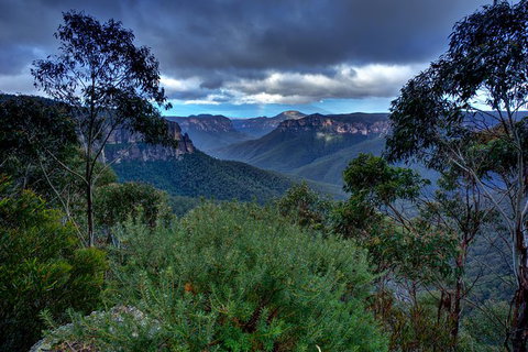 Ultimate Blue Mountains And Wildlife Tour - Your Accommodation 6