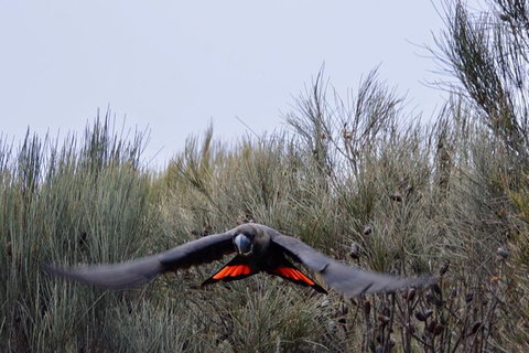 Ultimate Blue Mountains And Wildlife Tour - Your Accommodation 1