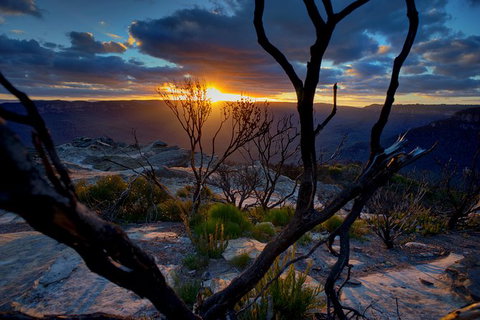 Ultimate Blue Mountains And Wildlife Tour - Your Accommodation 0
